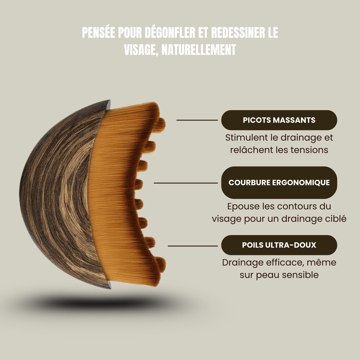 BROSSE LYMPHATIQUE VISAGE