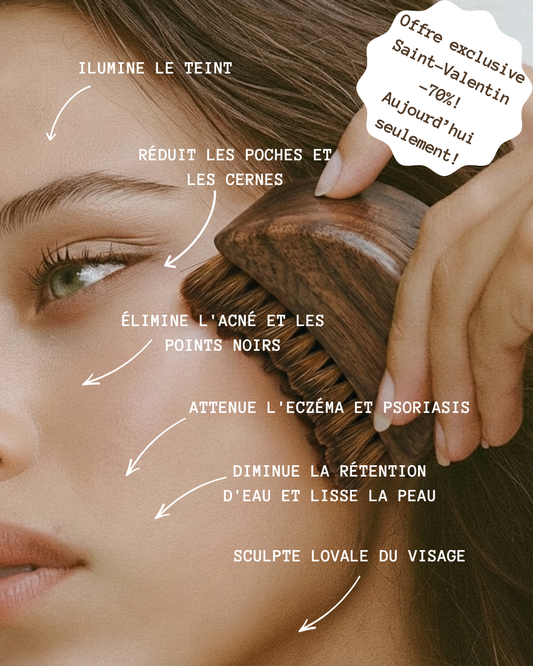 BROSSE LYMPHATIQUE VISAGE